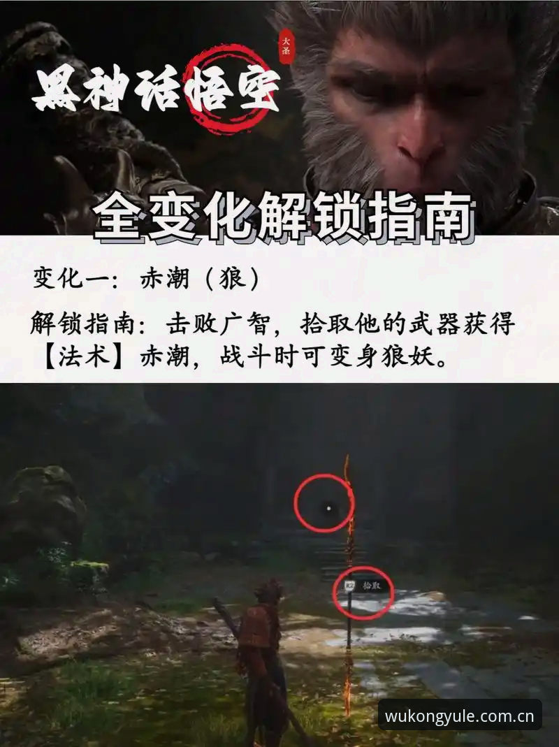 悟空体育平台下载对比完整指南：新手如何选择最适合的版本