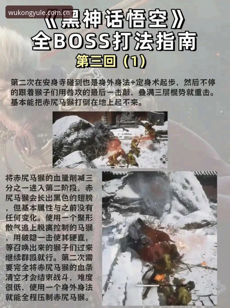 悟空体育平台下载对比完整指南：新手如何选择最适合的版本