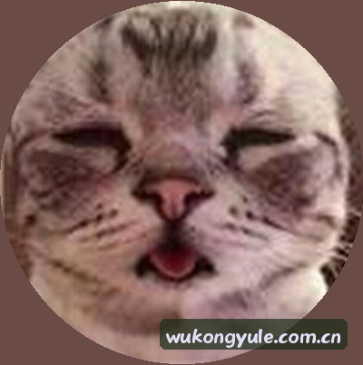 王思远